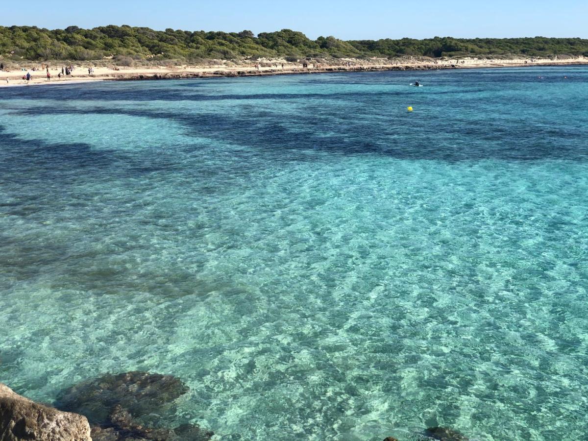 Balco D'Es Trenc Διαμέρισμα Sa Ràpita Εξωτερικό φωτογραφία