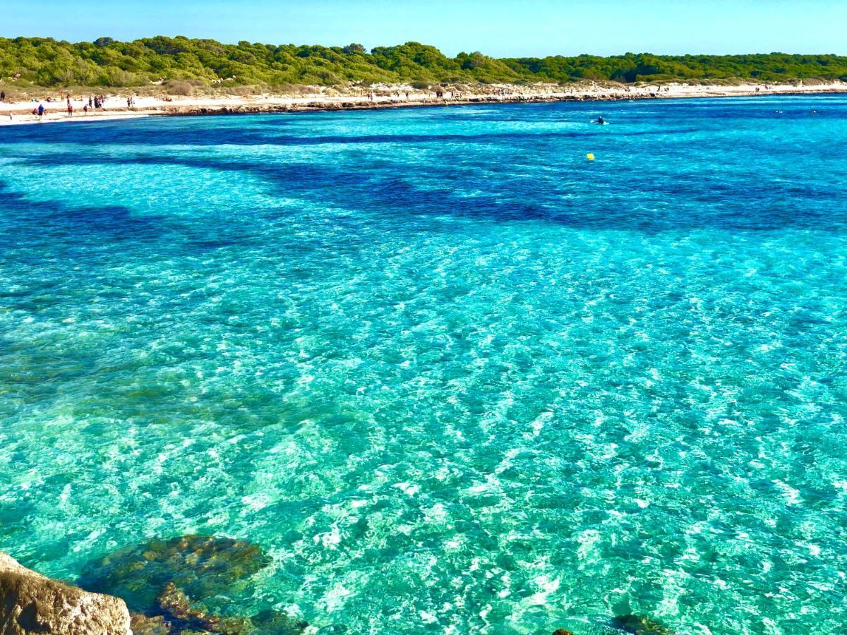 Balco D'Es Trenc Διαμέρισμα Sa Ràpita Εξωτερικό φωτογραφία